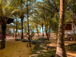 patini bungalows garden