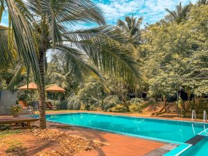 uda walawe piscine
