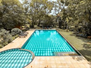 blue turtle yala
