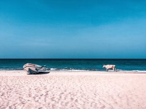 tongs et sri lanka plage