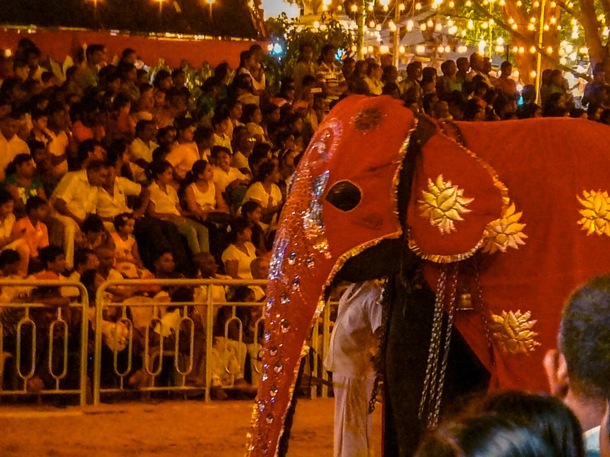 éléphant perahera sri lanka