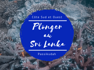 Plongée côte sud ouest passikudah