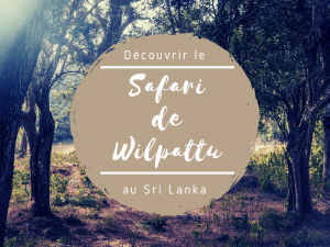 Wilpattu au Sri Lanka