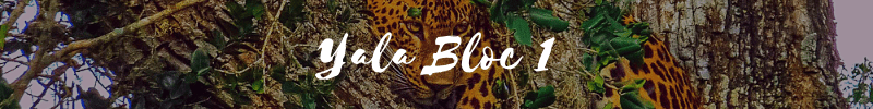 yala bloc 1