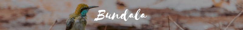 bundala