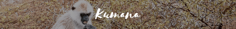 kumana