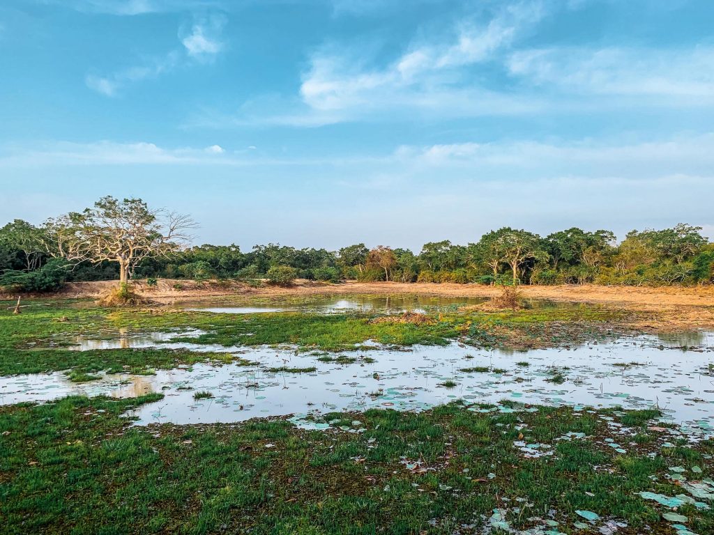 lac a wilpattu