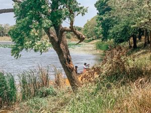 lac sigiriya