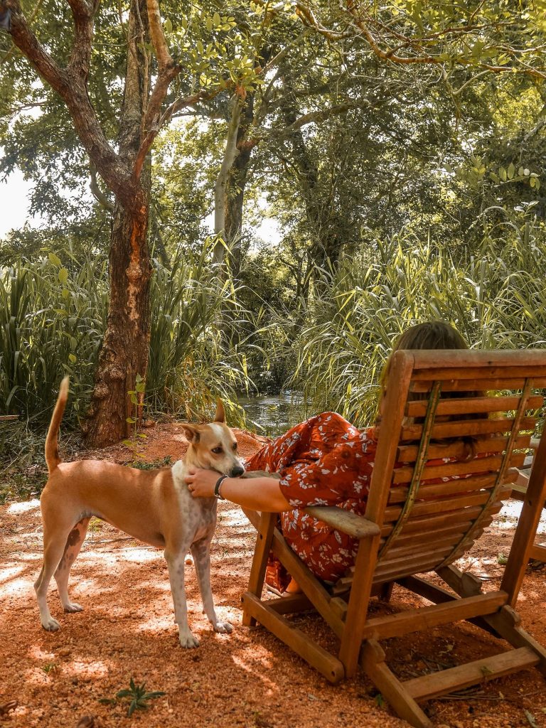 sigiriya chill