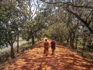 sigiriya randonnée