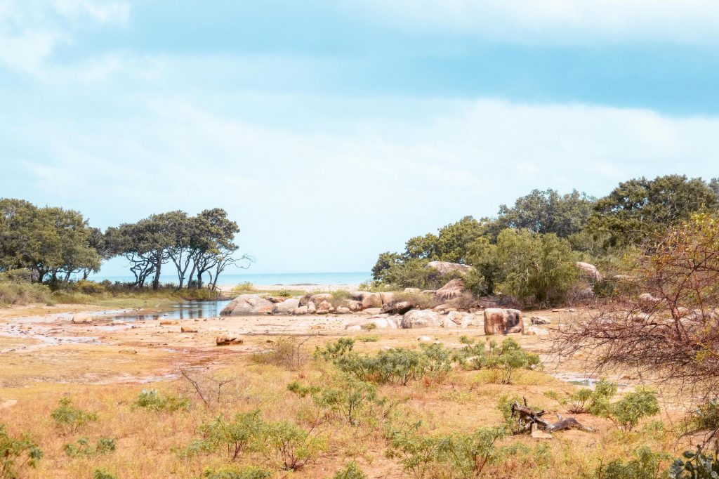 paysage à yala