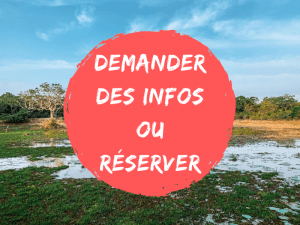 formulaire de contact