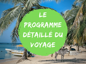 programme voyage de groupe au sri lanka