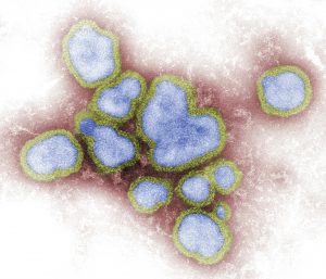 coranavirus photo sri lanka