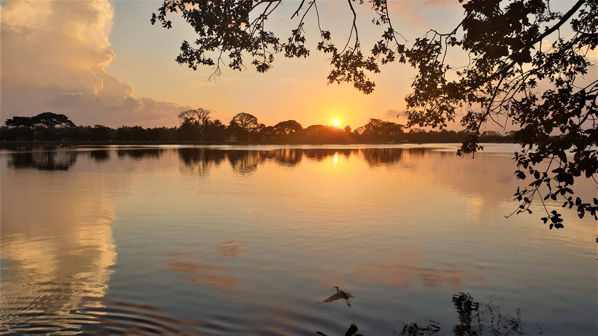 Le lac de Tissamaharama