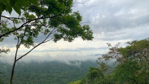 brume sur pidurangala
