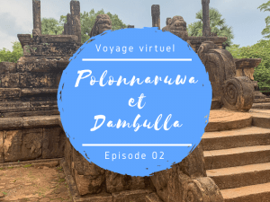 Polonnaruwa et Dambulla