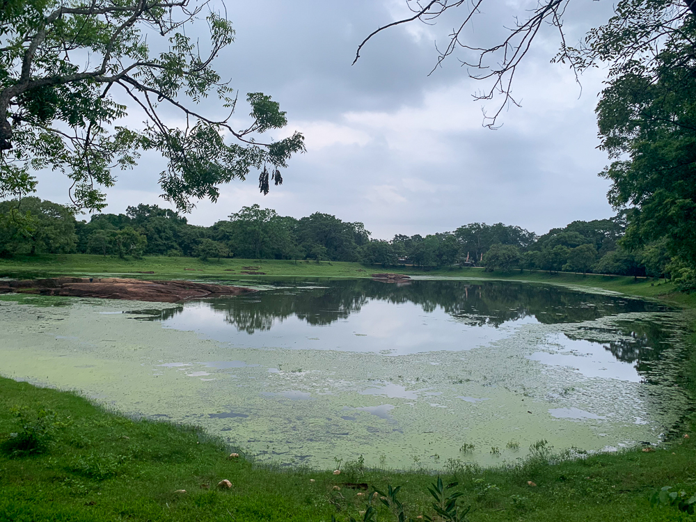 bassin polonnaruwa