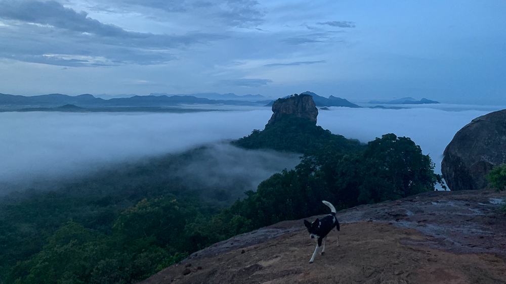 matin a sigiriya