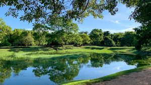 voyage à sigiriya : histoire du rocher du lion