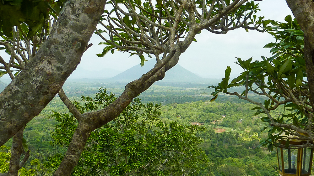 vue depuis dambulla arbres