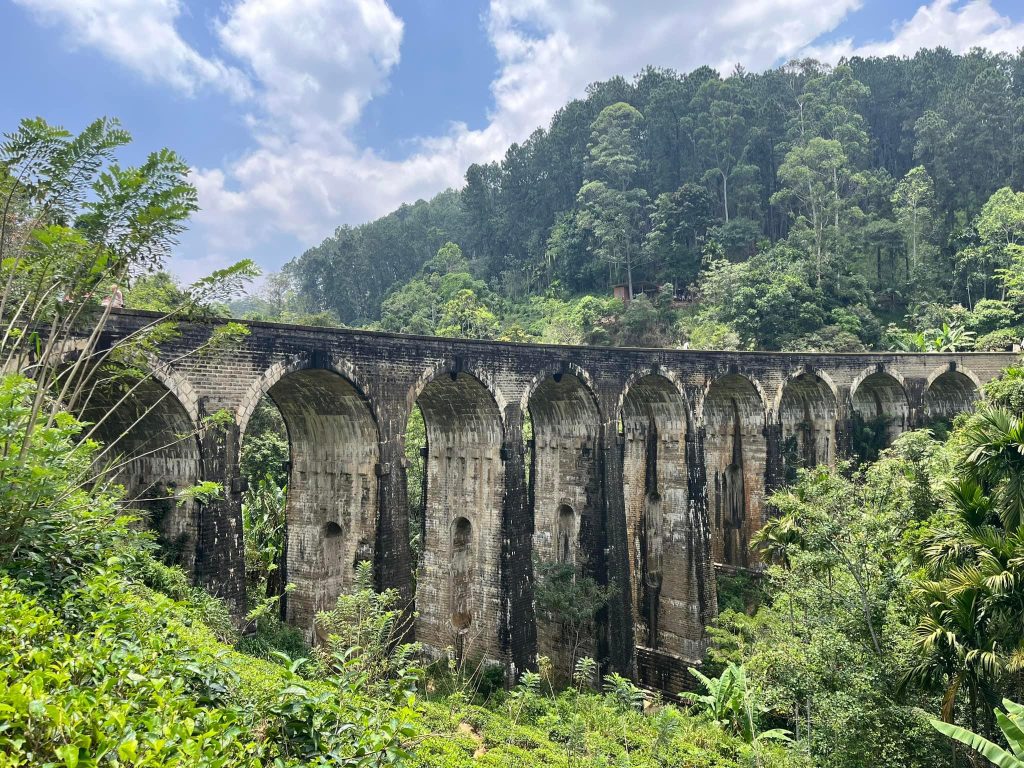 nine arch bridge avec les nids de guêpes ou de frelons visible au Sri Lanka, sous les arches du pont