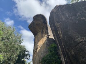 grotte du cobra sri lanka