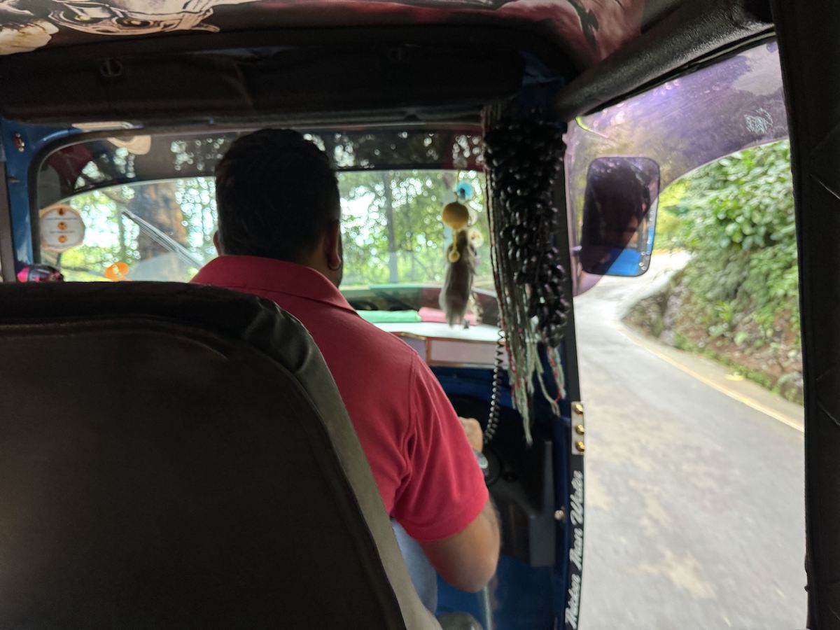 tuk tuk chauffeur