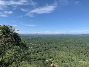 vue depuis le sommet du rocher du lion