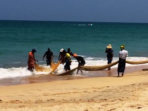 les pecheurs relèvent les filets à Nilaveli