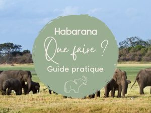 Habarana au Sri Lanka : que faire ?