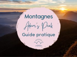 adam's peak au sri lanka guide complet pour l'ascension