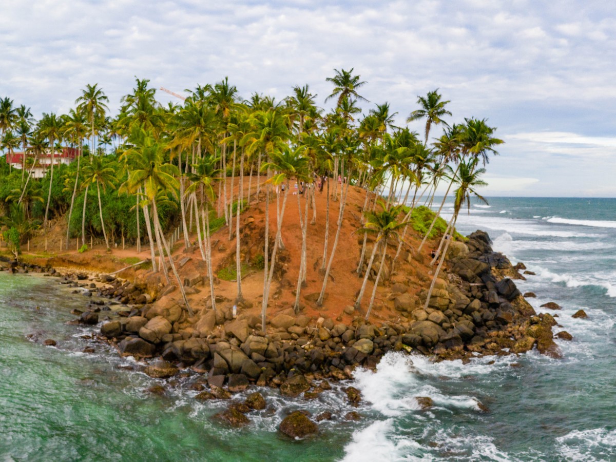 coconut tree hill à mirissa au sri lanka