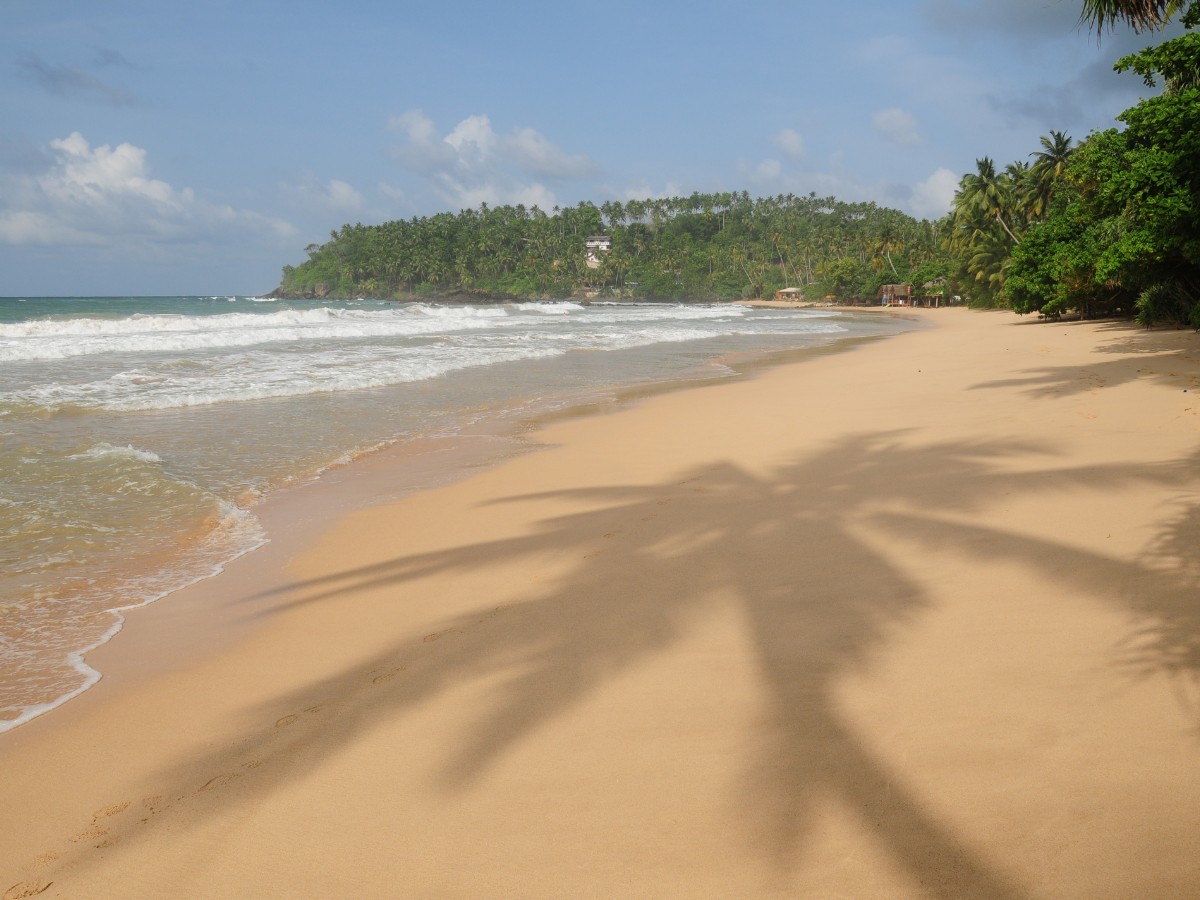 plage mirissa sri lanka