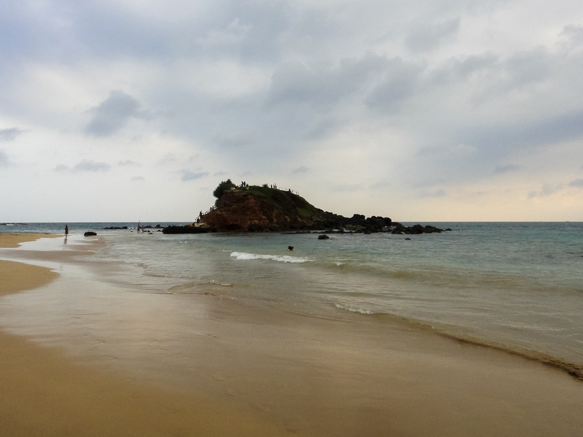 parrot rock mirissa