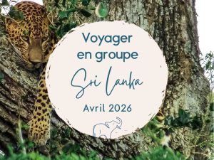 voyage groupe sri lanka