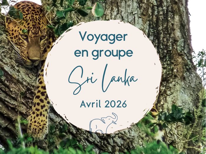 voyage groupe sri lanka