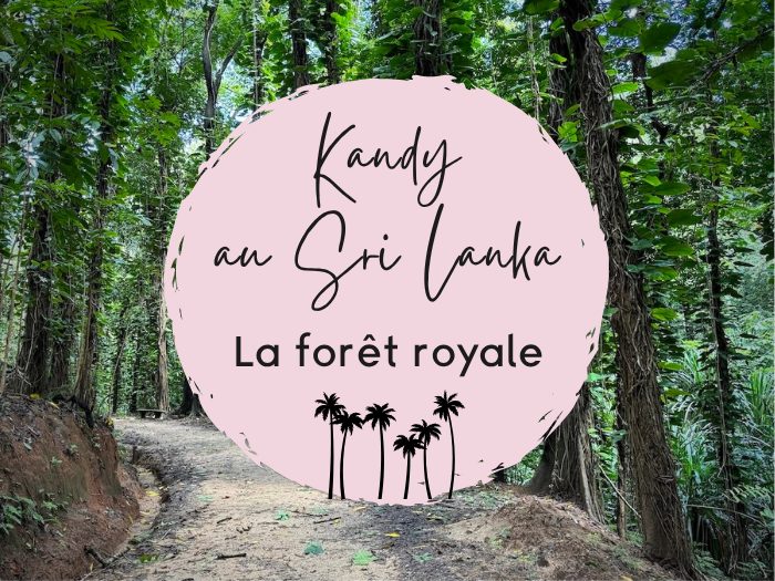 forêt royale de kandy au sri lanka