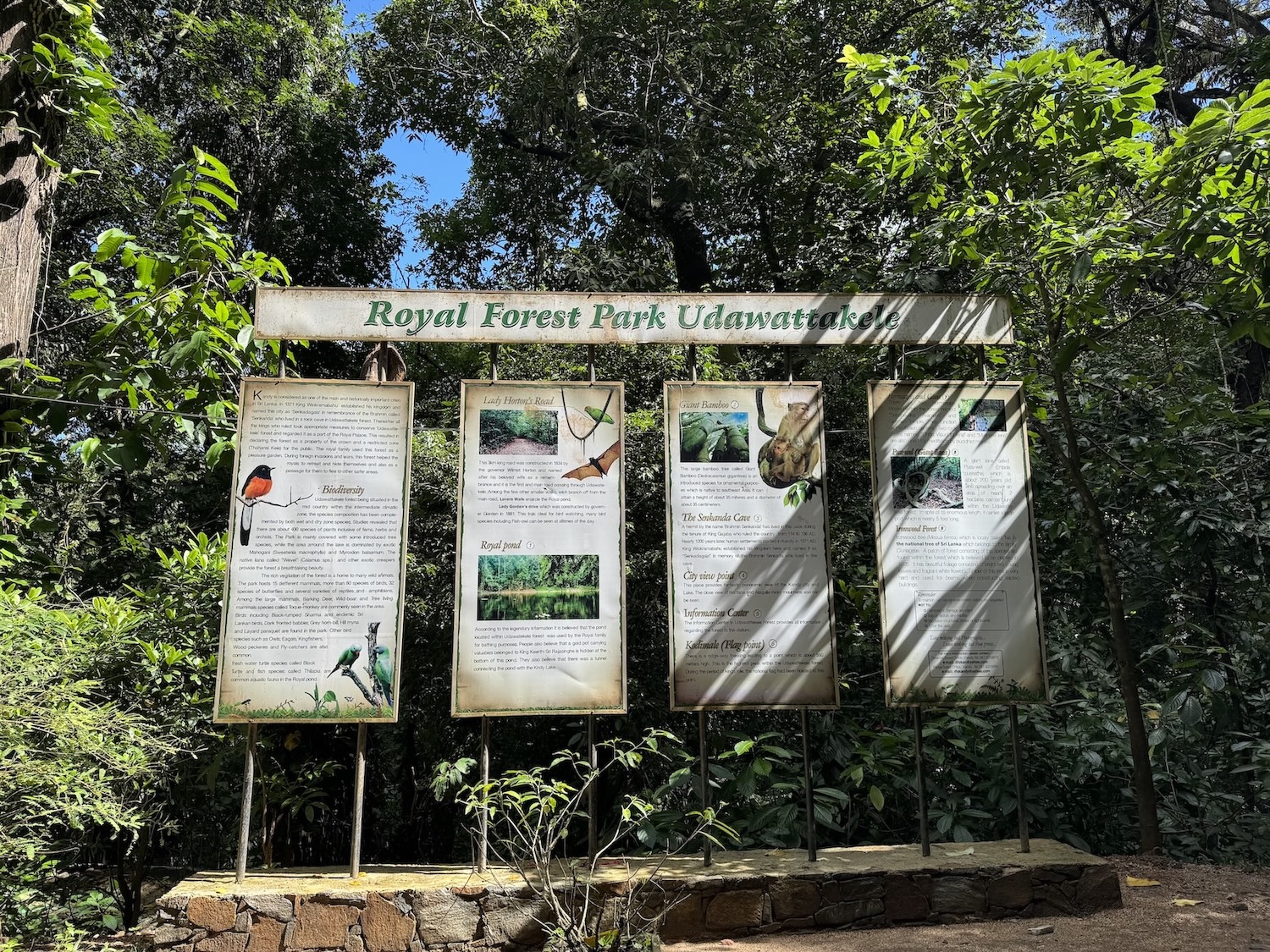 explications forêt royale kandy