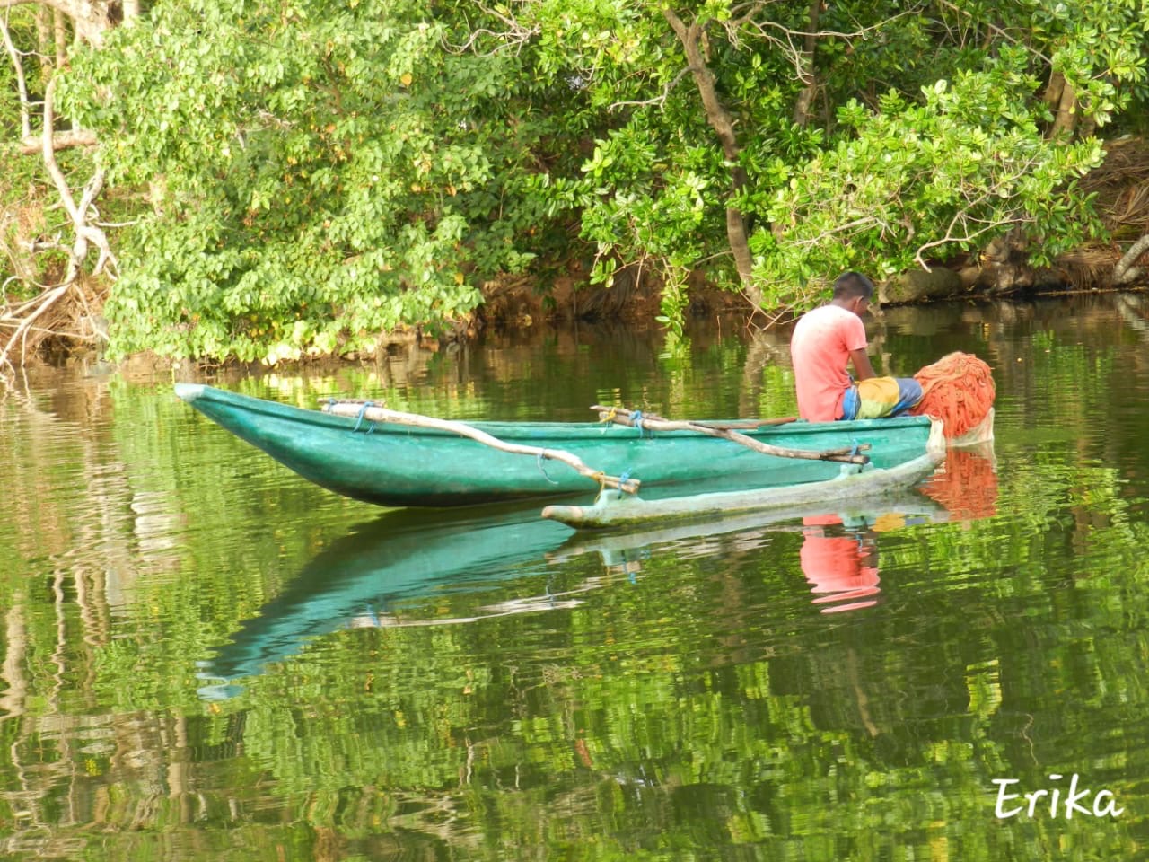 mangrove hikkaduwa
