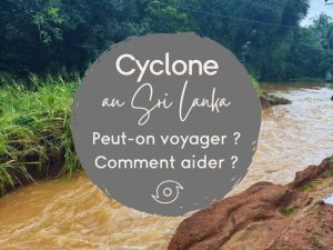 ditwah le cyclone au sri lanka